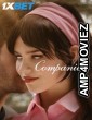 Companion (2025) English Movie