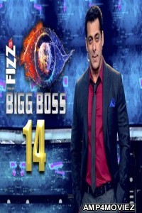 Bigg Boss Season 14 25 October (2020) Hindi Tv Shows